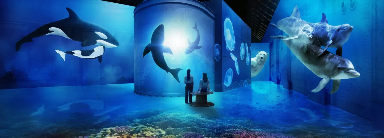 The Sea experience in Amsterdam