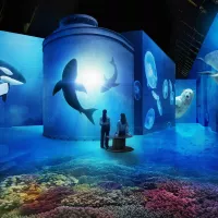 Exposition immersive La Mer Fabrique des Lumières Amsterdam