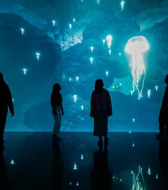 4 persons dark room with projected jellyfish