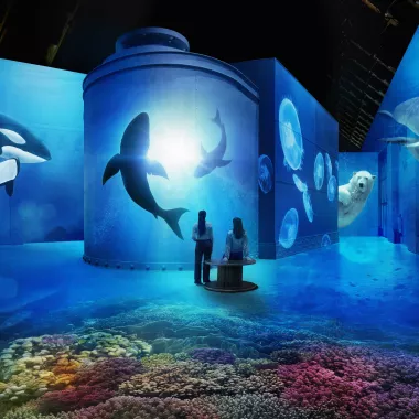 The Sea promotional visual Fabrique des Lumières