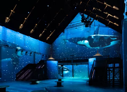 Wale blue sea projections large factory hall