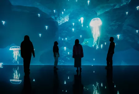 The Sea exhibition