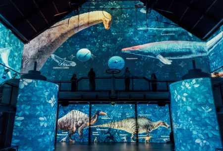 dinosaures bleu projection