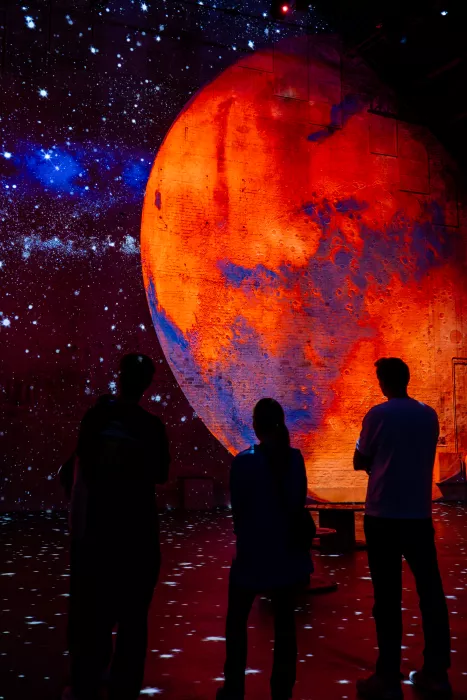 Cosmos