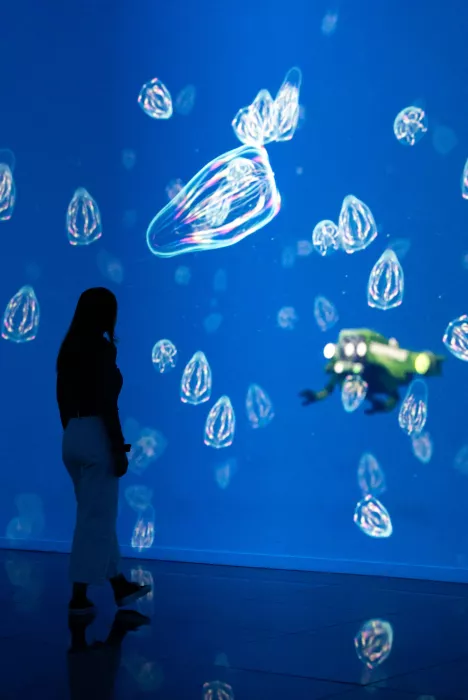 projections of jellyfish, blue sea