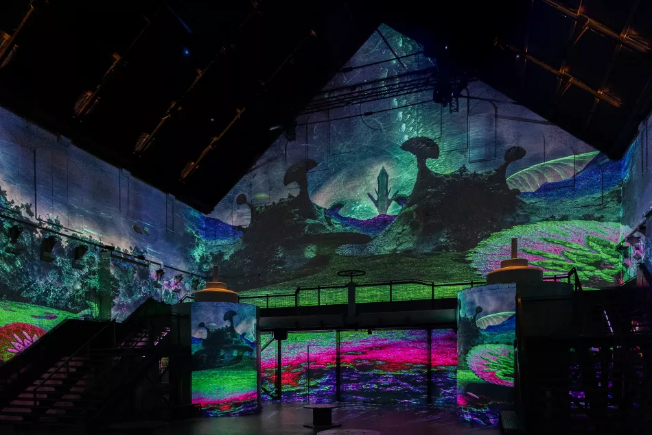 FDL Foreign Nature immersive experience