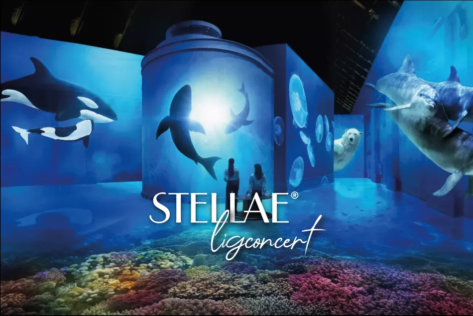 de zee, stellae