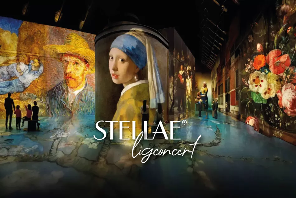 dutch masters, stellae